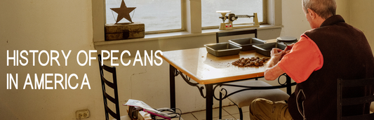 History of Pecans in America