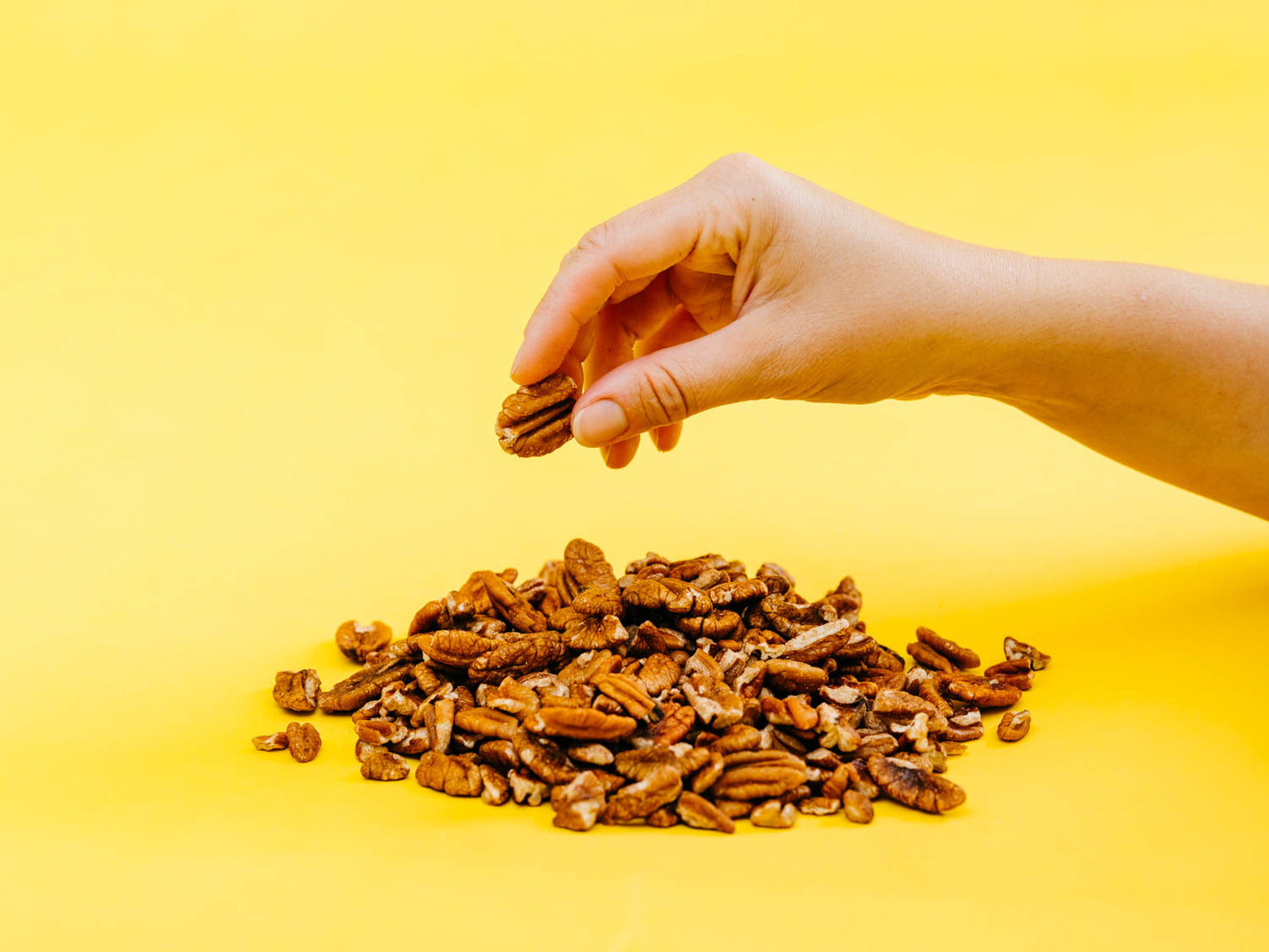 Raw, Organic Pecans (1/2 lbs)